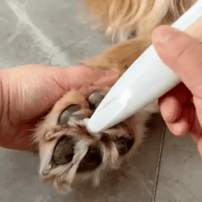 Premium Pet Grooming Clipper